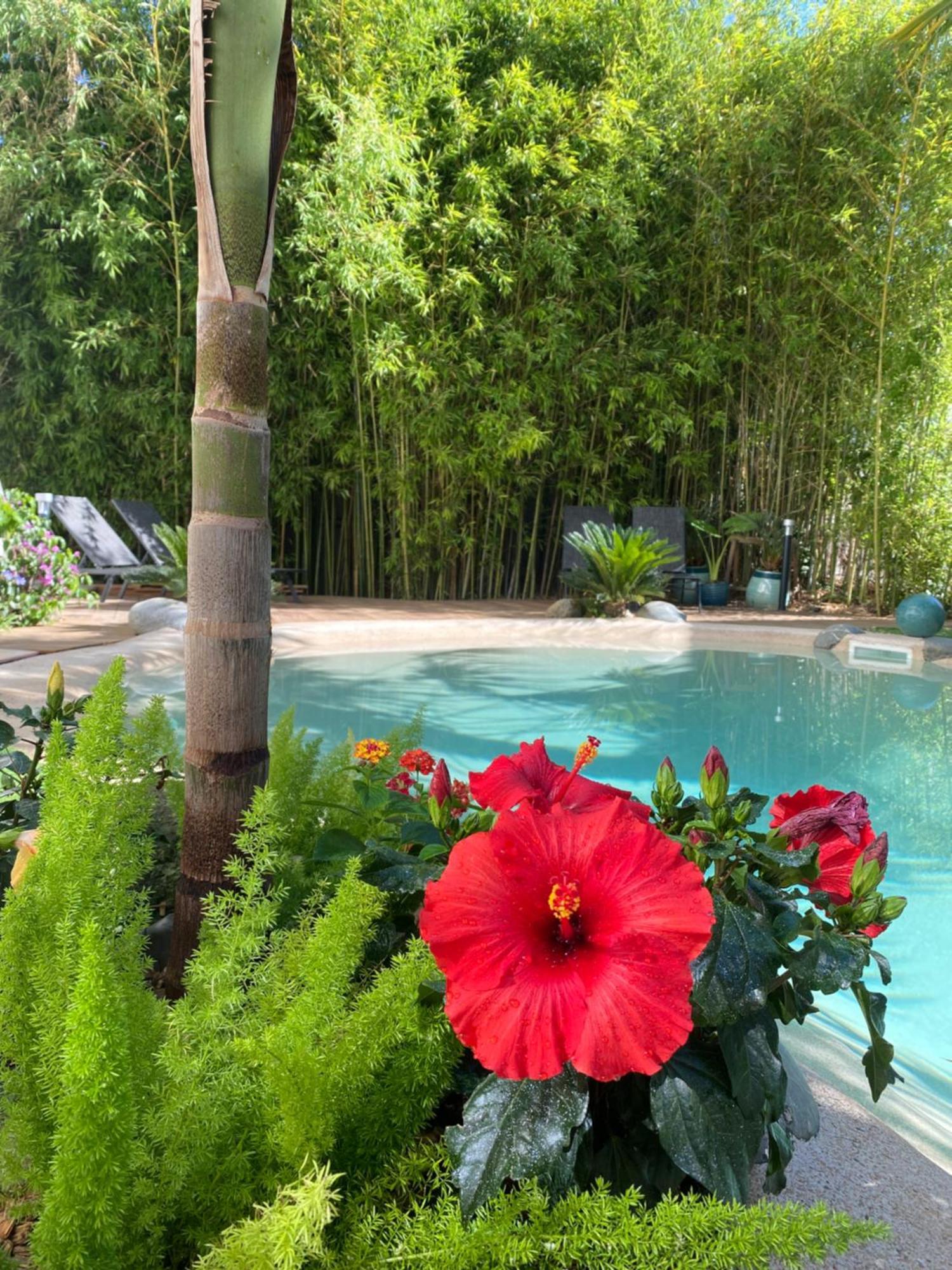 Appt Ambiance Boheme 2 Ch Piscine Lagon Tarbes Exterior foto